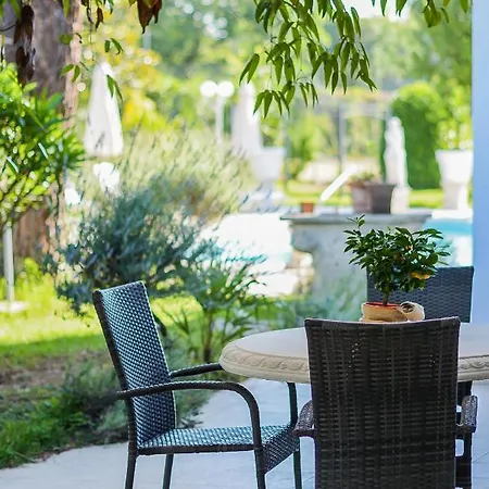Bellavista Terme Resort&spa 4* Montegrotto Terme