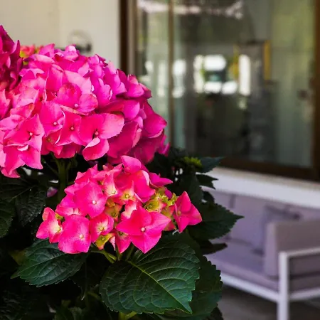 Bellavista Terme Resort&spa